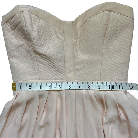 NWT Parker Pale Pink Silk Strapless Sweetheart Neckline Mini Dress sz S - Picture 10 of 14